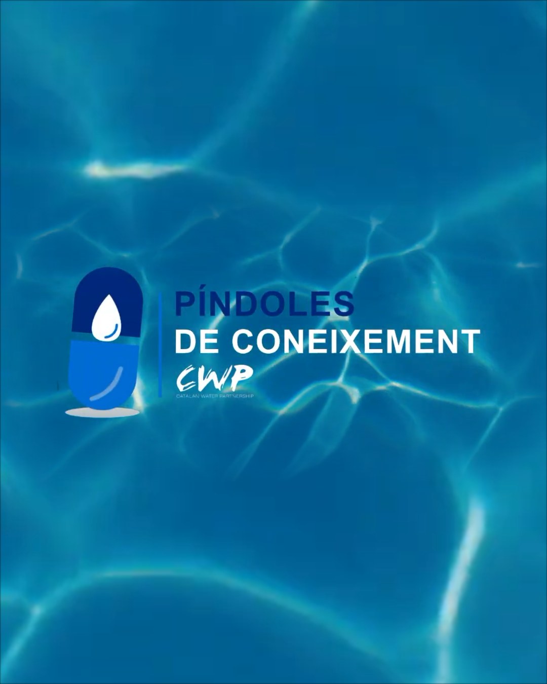 CWP: noves Píndoles de coneixement i el vídeo del balanç del mandat 2018-2026
