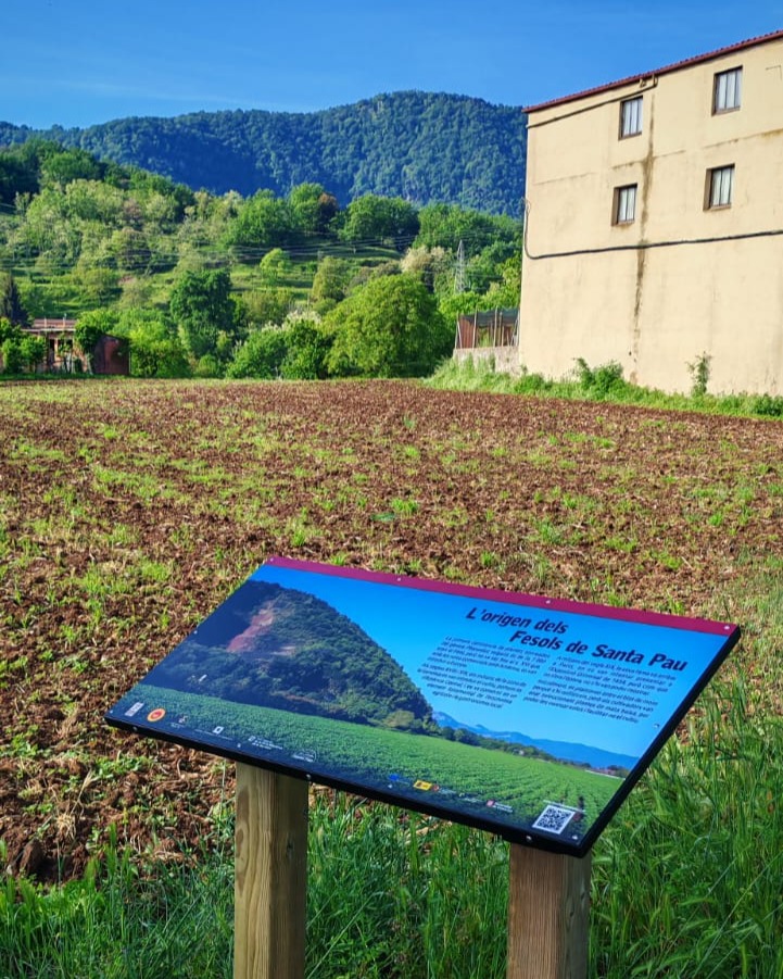 Plafó dels Fesols de Santa Pau al costat d'un camp de cultiu, amb les muntanyes de la Garrotxa al fons