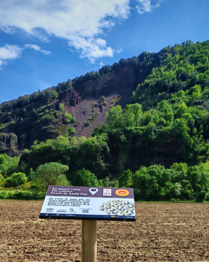 Senyal de la ruta dels Fesols de Santa Pau davant d'un camp, amb un volcà al fons