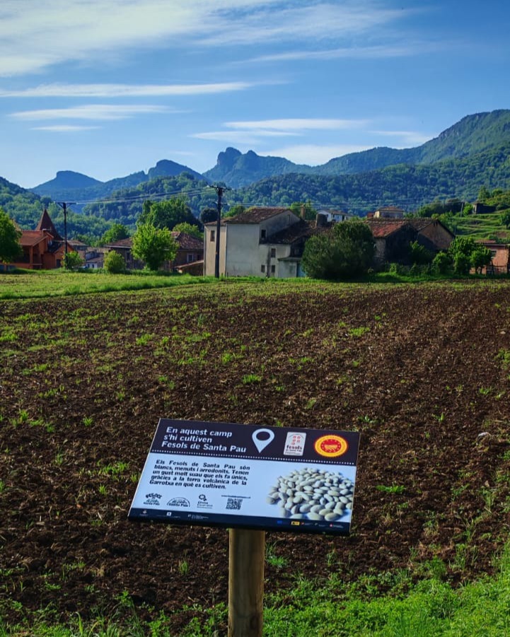Senyal de la ruta enmig d'un camp llaurat, amb el poble i les muntanyes al fons