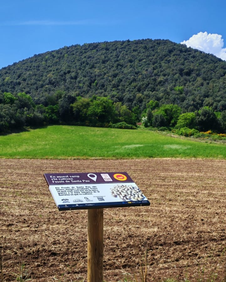 Senyal de la ruta dels Fesols de Santa Pau davant d'un volcà de la Garrotxa