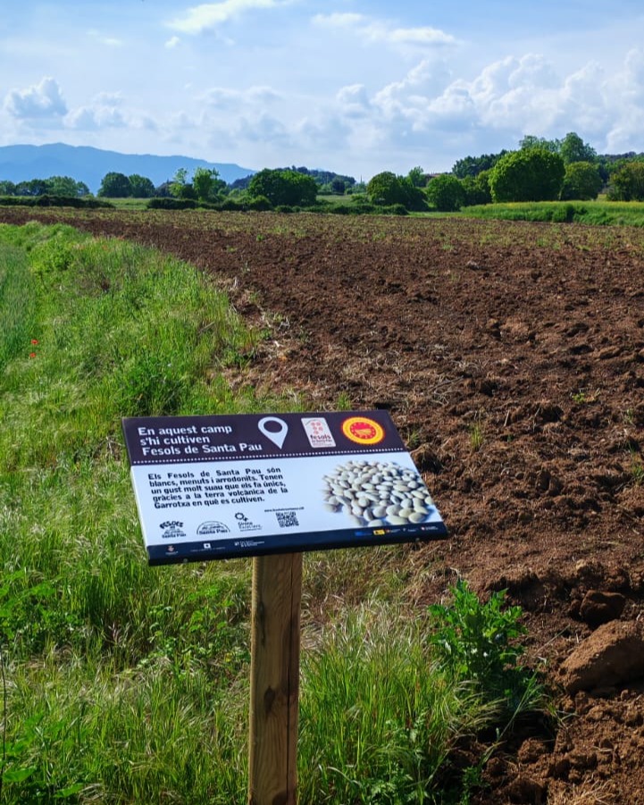 Senyal de la ruta dels Fesols de Santa Pau al costat d'un camp llaurat